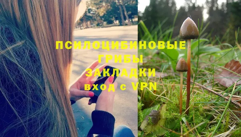 Меф мяу мяу Кириллов